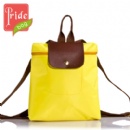 2013 Fashionable Design Backpack